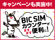 BICSIM<カウンターがますます便利に!