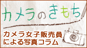 �J�������q�̔����ɂ��ʐ^�R�����u�J�����̂������v