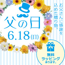 ビックカメラからのご提案 父の日ギフト
