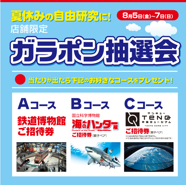 夏休の自由研究に!店舗限定 ガラポン抽選会