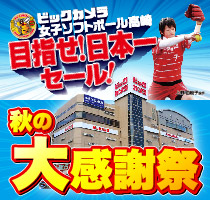 ソフトボール高崎目指せ日本一セール!秋の大感謝祭