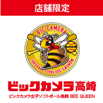 ビックカメラ女子ソフトボール高崎