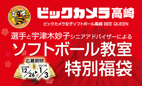ソフトボール教室 体験型福袋