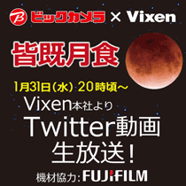 twitter動画生放送
