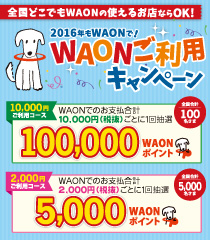 WEB限定!
