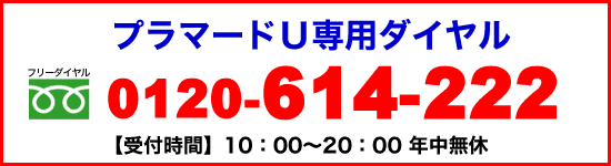 �v���}�[�hU��p�_�C����