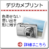 �f�W�J���v�����g