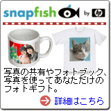 �X�i�b�v�t�B�b�V��
