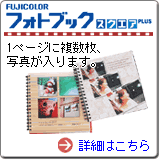 �t�H�g�u�b�N�X�N�G�A�v���X