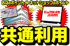 �|�C���g���ʗ��p�̂��ē�