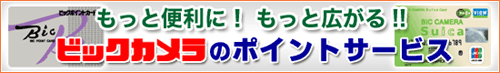 �����ƕ֗��ɁI�����ƍL����I�r�b�N�J�����̃|�C���g�T�[�r�X
