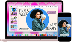 ブラッシュのMacBook NeoがiPhoneの隣に置かれている。MacBook Neoの画面にはモルモットを抱えている人物の写真が添付された「期末試験週間のペットセラピー」というタイトルのプレゼンテーションが表示されている。iPhoneの画面には、プレゼンテーションで使用するためのステッカーに変換された同じ写真が表示されている