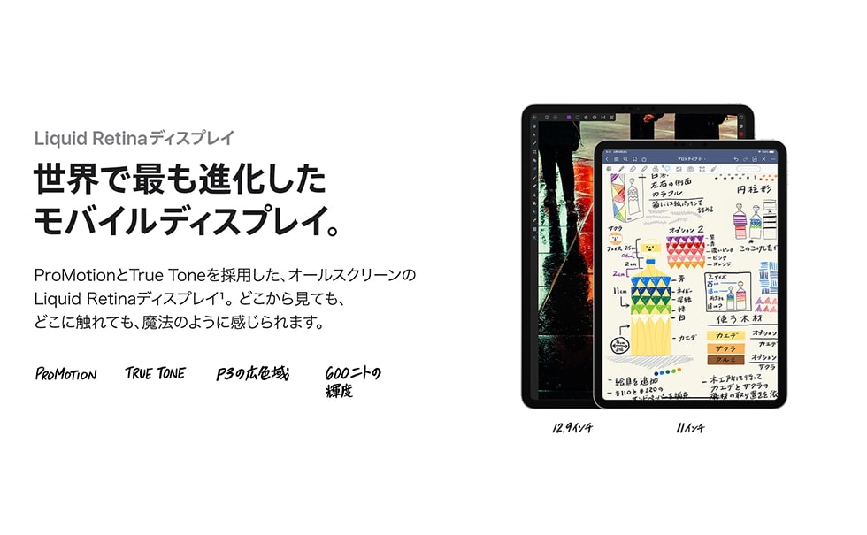 iPad Pro