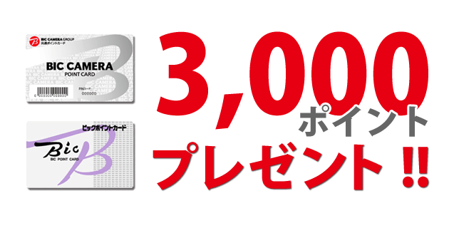 ビックポイント付与キャンペーン中!
