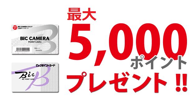 ビックポイント付与キャンペーン中!