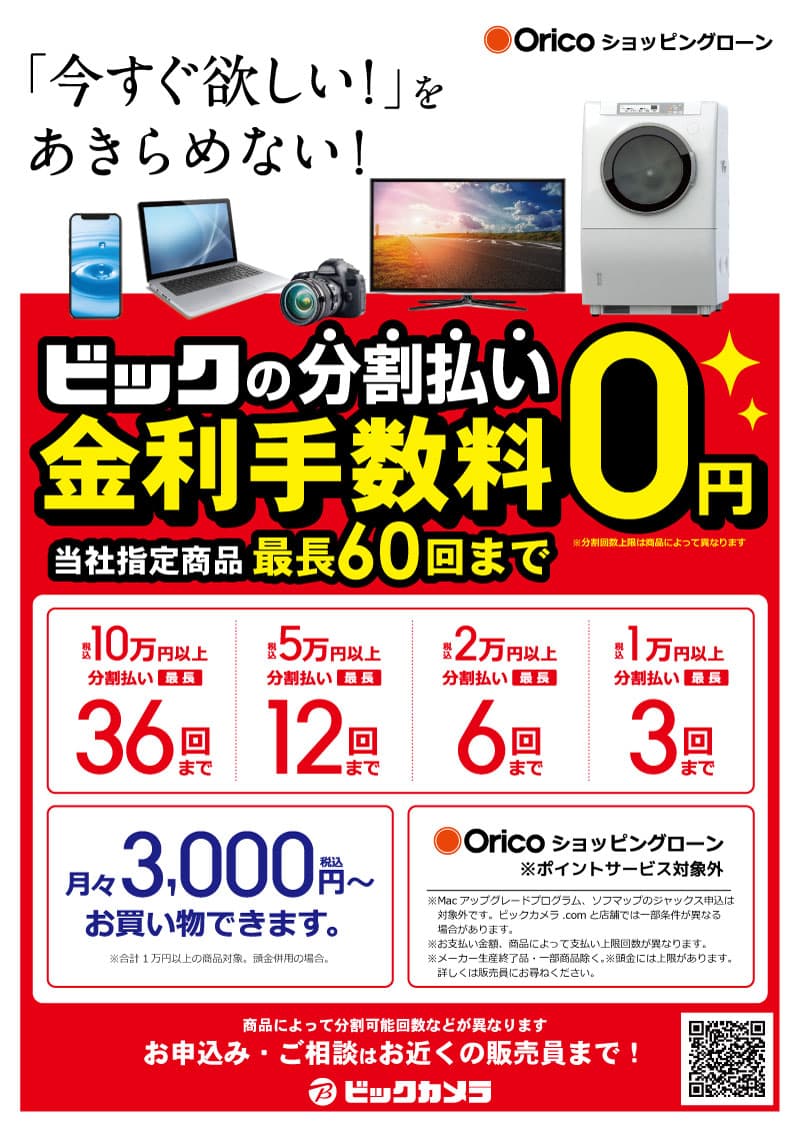 ビックの分割払い