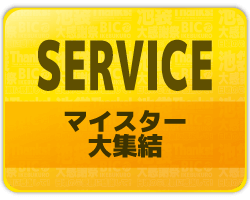 専門販売員 ビックカメラマイスター