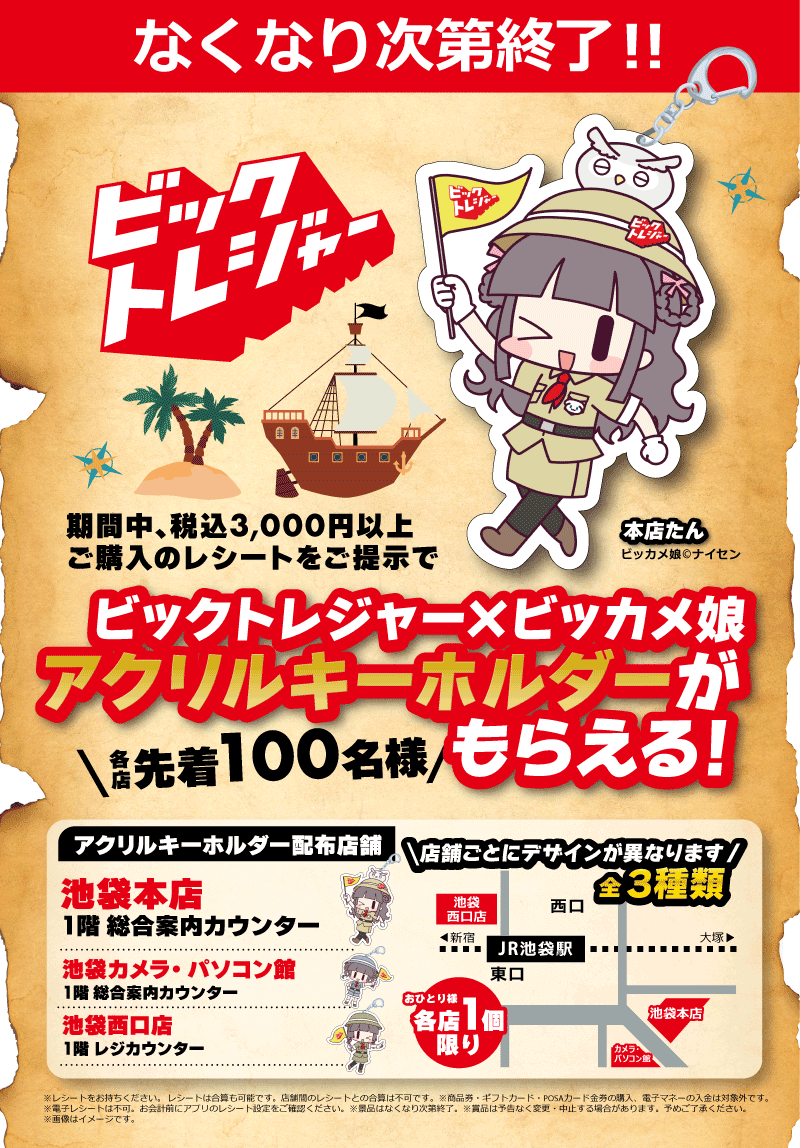 ビッカメ娘企画第2弾