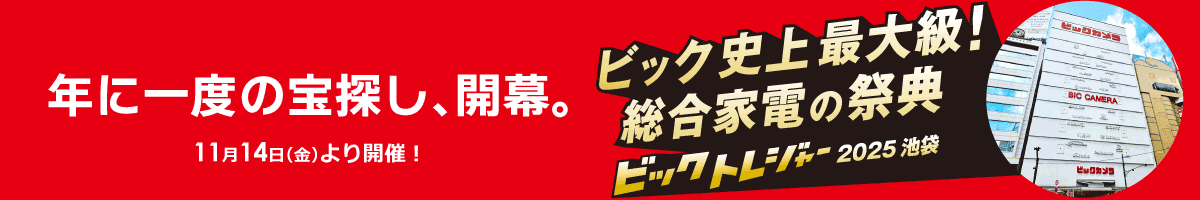 ビックトレジャー2025池袋