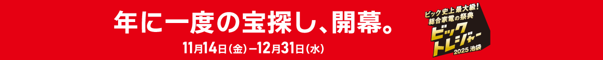 ビックトレジャー2025池袋