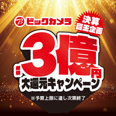 【予算達し次第終了】決算目玉企画！総額3億円大還元キャンぺージ実施中