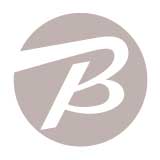 ビックカメラCh