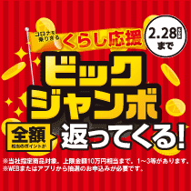 ビックジャンボ!最大全額ポイントバック!