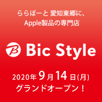 BicStyle