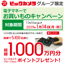 ビックカメラグループ限定『電子マネーでお買いものキャンペーン』