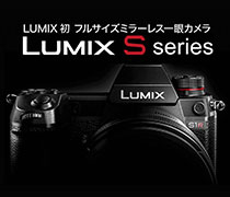 Panasonic Lumix S1