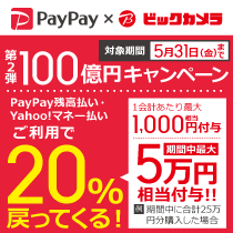 PayPay 第2弾100億円キャンペーン