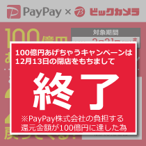 PayPay 100億円 あげちゃうキャンペーン終了しました