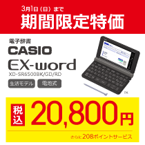 3月1日(日)まで限定特価