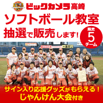 ビックカメラ女子ソフトボール高崎 BEE QUEENソフトボール教室