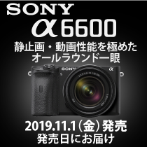 sony_a6600