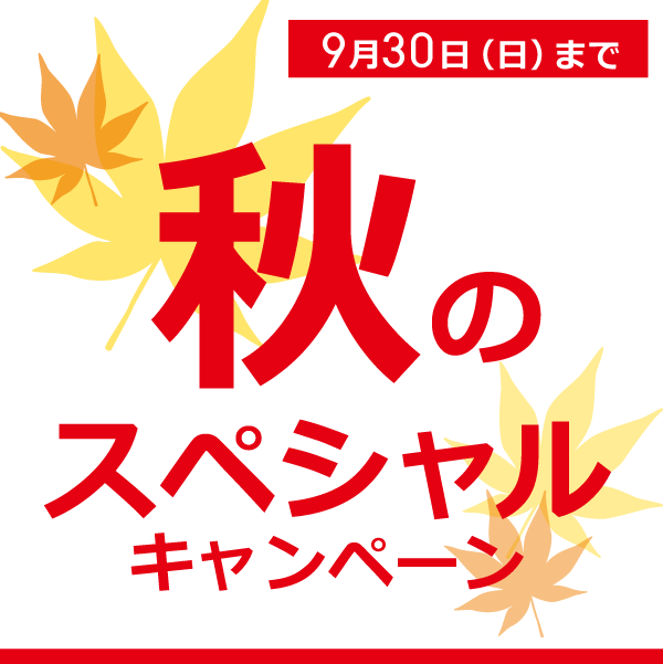 秋のスペシャルキャンペーン実施中!