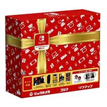 Nintendo Switch ビックカメラグループ 限定セット