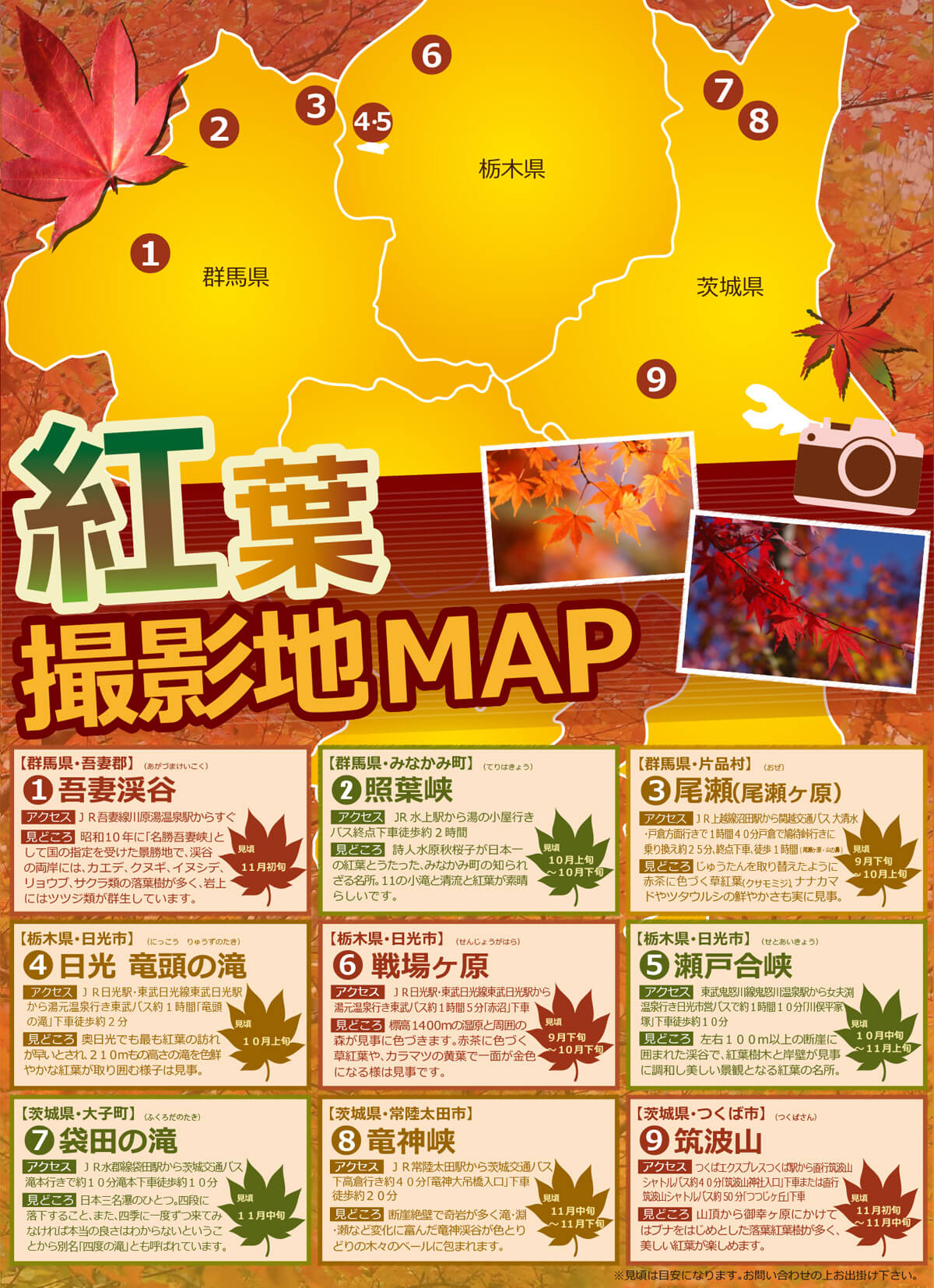 紅葉を撮ろう ビックカメラ