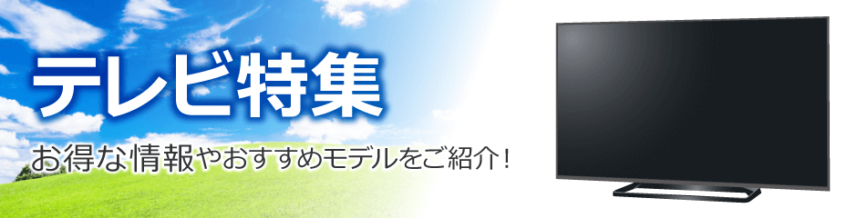 テレビ特集 ビックカメラ