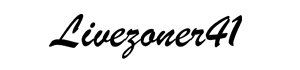 livezoneer41