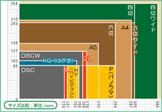 写真 四 つ 切り サイズ