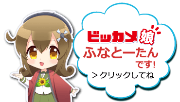 ビックカメラ船橋東武店