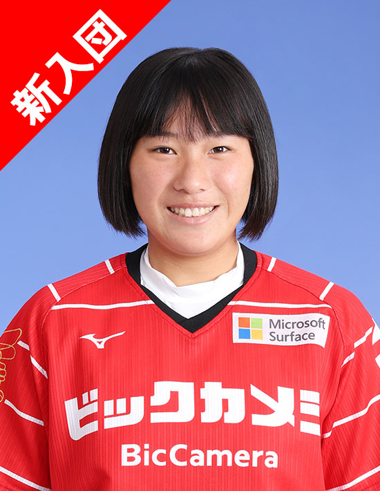 選手 スタッフ紹介 ビックカメラ女子ソフトボール高崎 陸上部 競歩 選手 スタッフ紹介 ビックカメラ女子ソフトボール高崎 陸上部 競歩