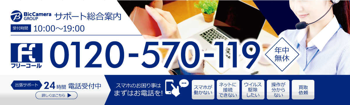 ビックカメラグループ サポート総合案内：0120-570-119