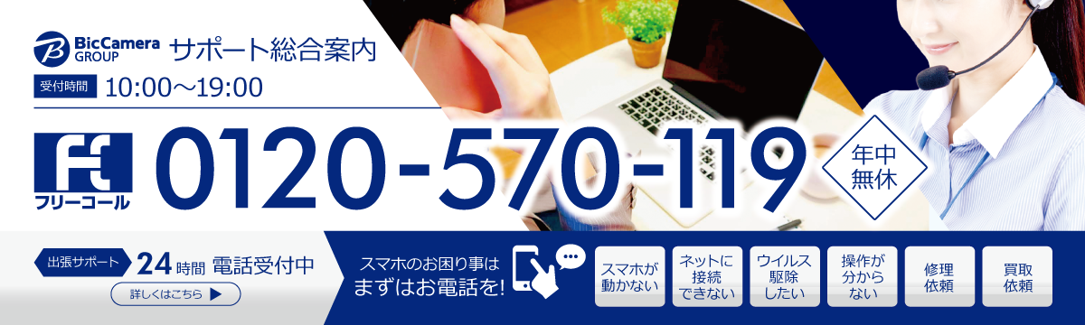 ビックカメラグループ サポート総合案内：0120-570-119