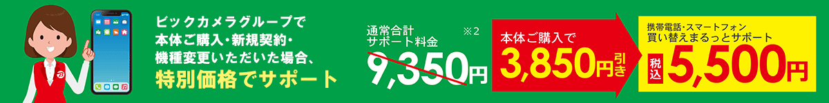 特別価格でサポート